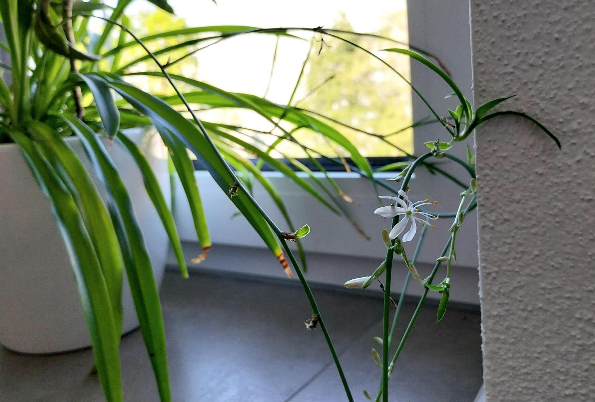 Kempten Mit Bauernhof-Flair Zewnętrze zdjęcie