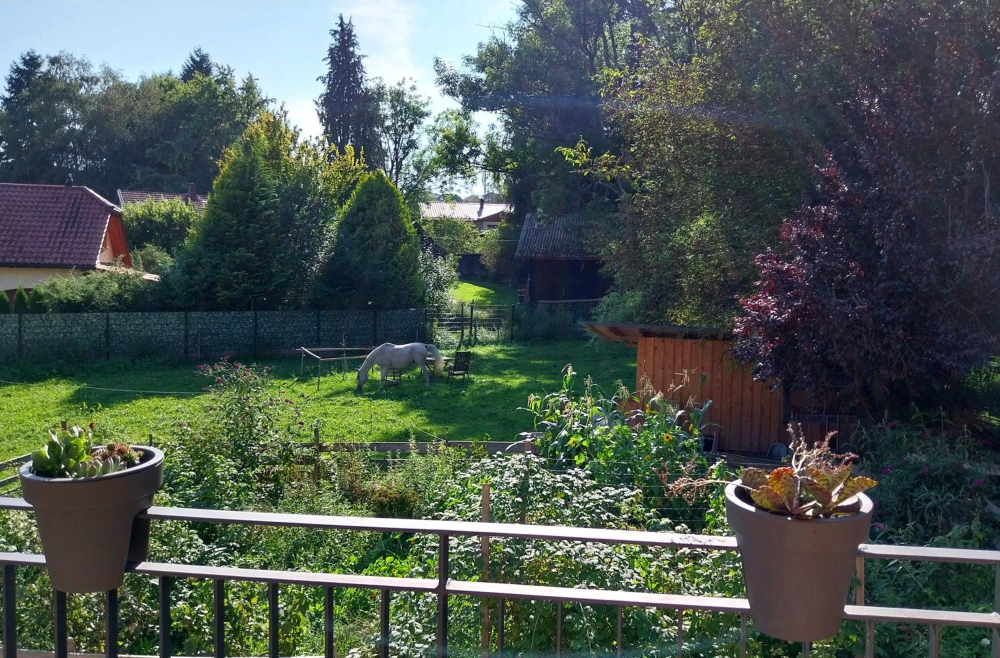 Kempten Mit Bauernhof-Flair Zewnętrze zdjęcie